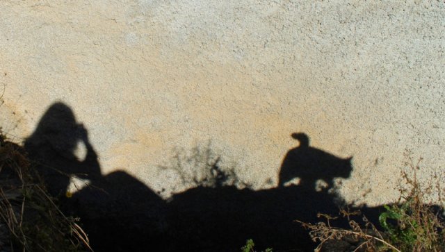 287_ombre catturate sul muro_tema libero